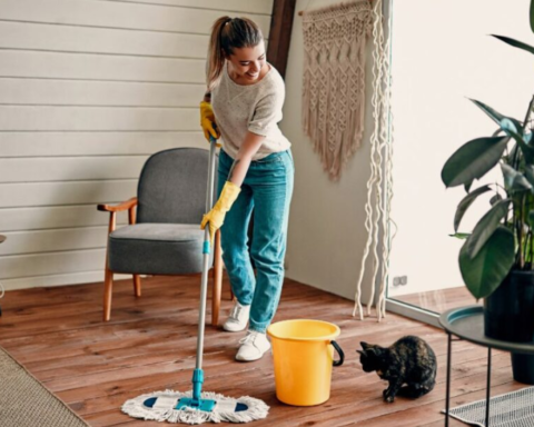 home cleaning service in Newport