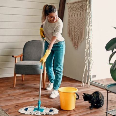 home cleaning service in Newport