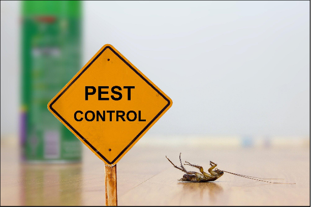 24-hour pest control
