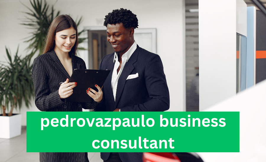 Case Study: Pedrovazpaulo Business Consultant