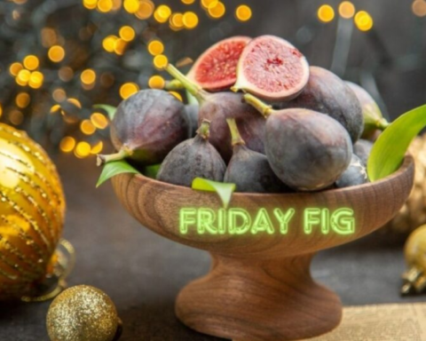 Friday Fig