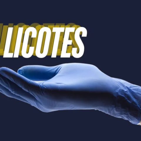 Licotes