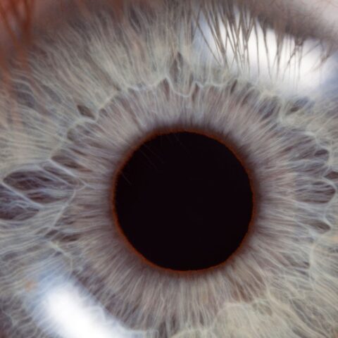 Pupillary