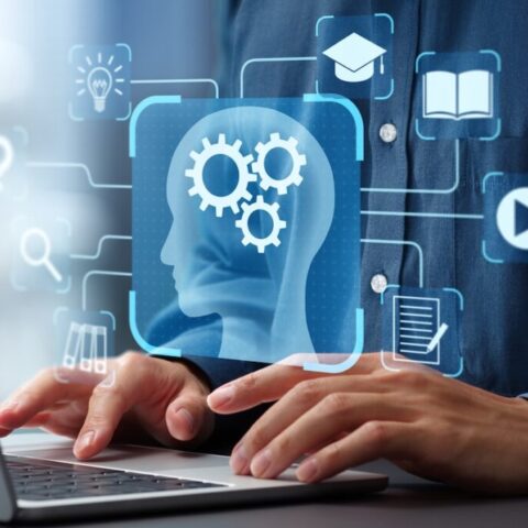Knowledge Management